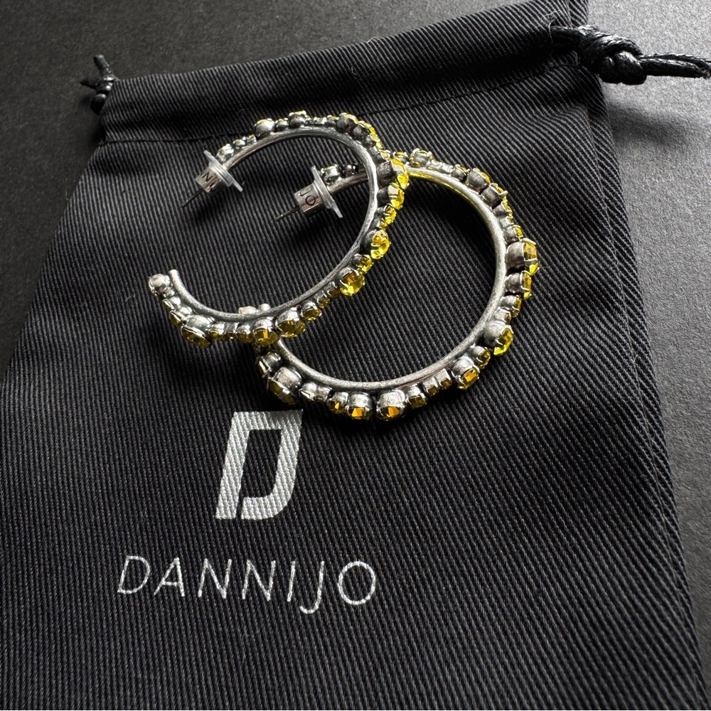 DANNIJO Alicia Swarovski Crystal Hoop Earrings - Picture 9 of 9